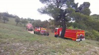 Actu - Incendies: les élus forestiers en première ligne Actu - Incendies: les élus forestiers en première ligne