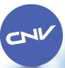 Rapport d’activité 2019 du conseil national des villes Rapport d’activité 2019 du conseil national des villes