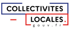 Doc - Les collectivités locales en chiffres 2022