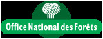 Actu - Journée internationale des forêts 2023 le 21 mars : Forêts en scène ! Actu - Journée internationale des forêts 2023 le 21 mars : Forêts en scène !