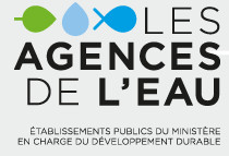 Actu - Des cours d’eau en bonne santé, un enjeu pour la préservation des océans ! Actu - Des cours d’eau en bonne santé, un enjeu pour la préservation des océans !