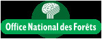 Actu - Combien de cervidés prélever dans les forêts normandes ? Actu - Combien de cervidés prélever dans les forêts normandes ?
