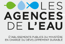 Actu -  Des cours d’eau en bonne santé, un enjeu pour la préservation des océans !