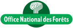 Actu -  Découvrez les lauréats de l'Arbre de l'année 2024