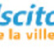 Doc - Engagement des conseils citoyens en région lyonnaise: implication personnelle et rapports aux institutions