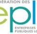 Livre blanc sur l’économie mixte locale : comment allier maîtrise politique et liberté d’entreprendre dans le cadre de la filialisation ?