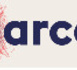 Actu - Usages numériques en France - L’Arcep et l’Arcom publient la troisième édition du référentiel des usages numériques