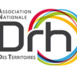 RH - Actu //  Le DRH, un partenaire stratégique au service de la transformation des organisations