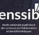 Doc - l’IA et les métiers de l'information, de la documentation et des bibliothèques: Cerner le sujet